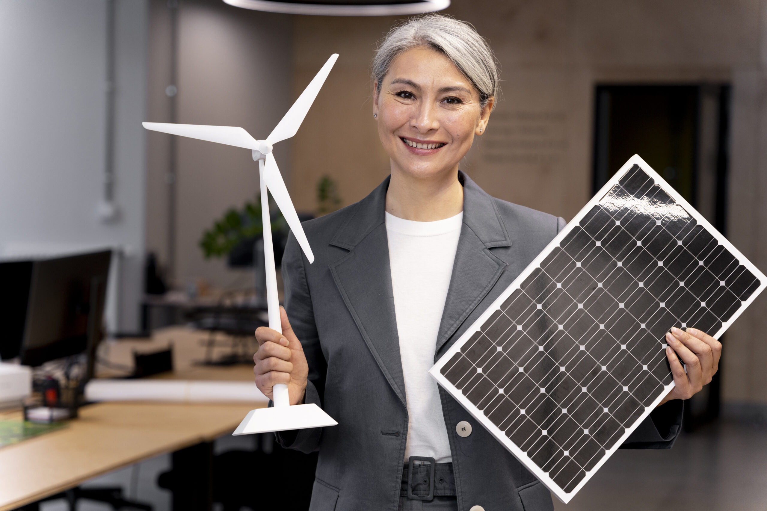 Home Repair 63 business person planning alternative energies scaled