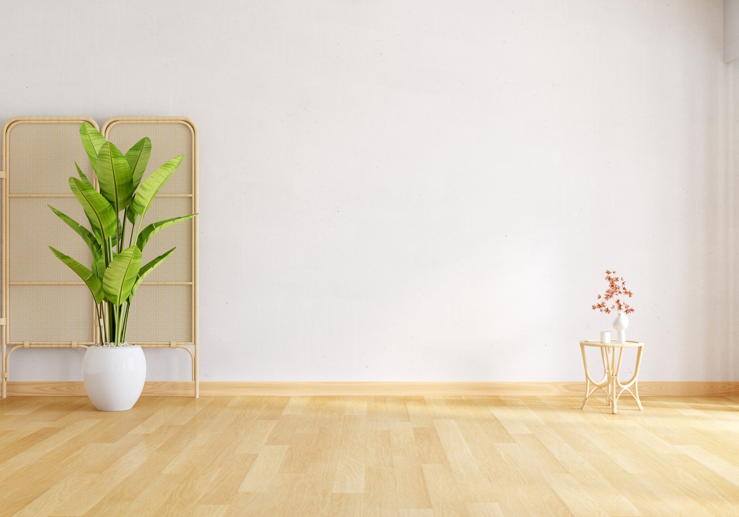 Home Repair 59 green plant white living room with free space scaled