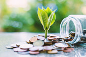 Finance 60 istockphoto 921527422 170x170 1