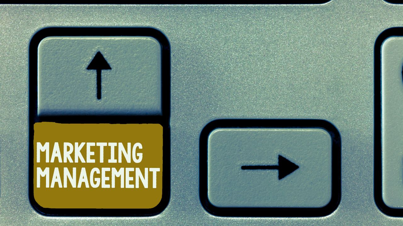 marketing management services